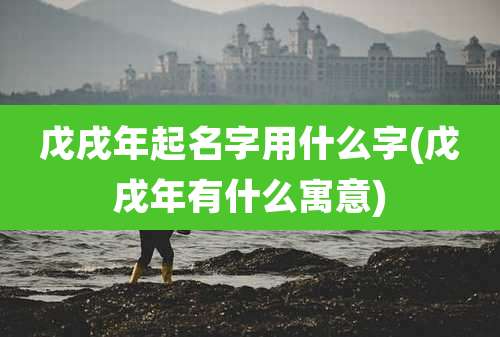 戊戌年起名字用什么字(戊戌年有什么寓意)