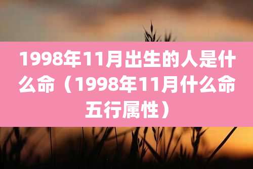 1998年11月出生的人是什么命（1998年11月什么命五行属性）