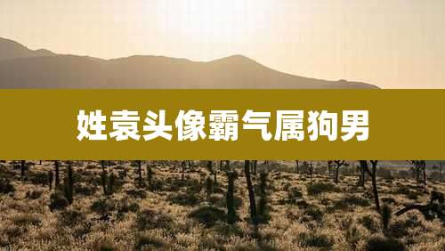 姓袁头像霸气属狗男