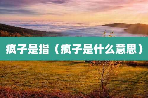 疯子是指（疯子是什么意思）