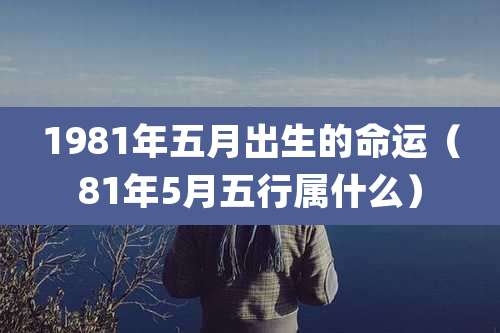 1981年五月出生的命运（81年5月五行属什么）