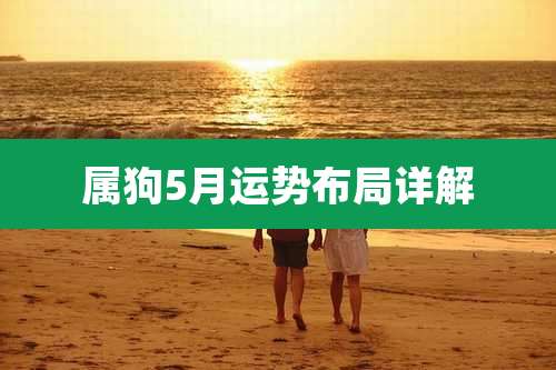 属狗5月运势布局详解