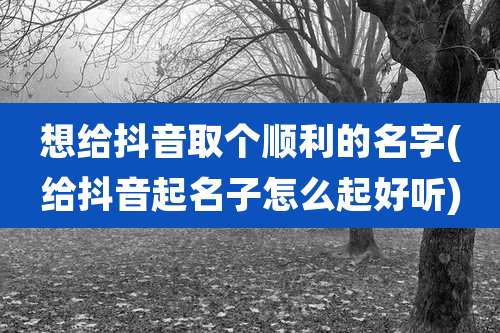 想给抖音取个顺利的名字(给抖音起名子怎么起好听)