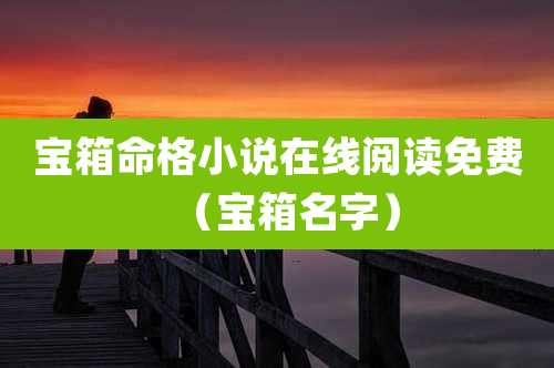 宝箱命格小说在线阅读免费(宝箱名字)