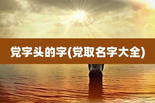 党字头的字(党取名字大全)