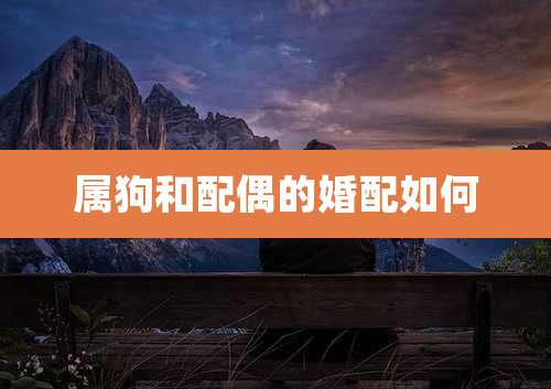 属狗和配偶的婚配如何