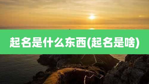 起名是什么东西(起名是啥)