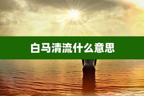 白马清流什么意思