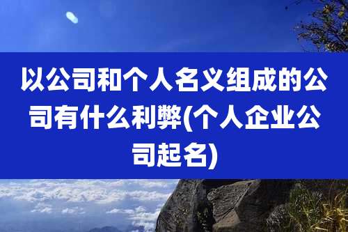 以公司和个人名义组成的公司有什么利弊(个人企业公司起名)