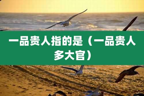 一品贵人指的是(一品贵人多大官)