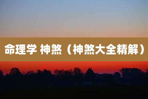 命理学 神煞(神煞大全精解)