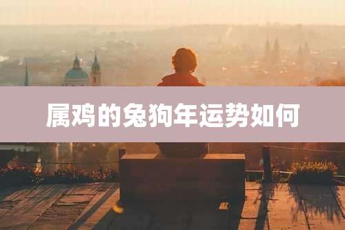 属鸡的兔狗年运势如何