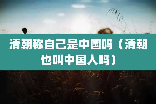 清朝称自己是中国吗（清朝也叫中国人吗）