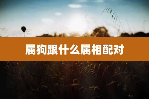 属狗跟什么属相配对