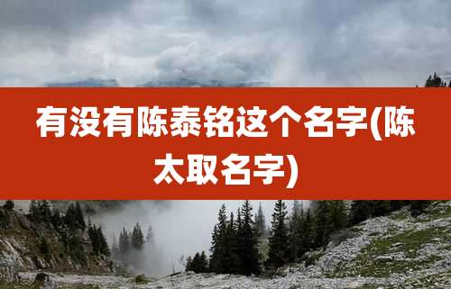 有没有陈泰铭这个名字(陈太取名字)