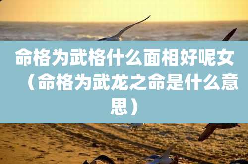 命格为武格什么面相好呢女(命格为武龙之命是什么意思)