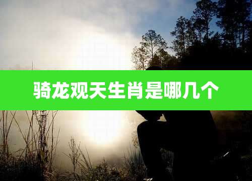 骑龙观天生肖是哪几个