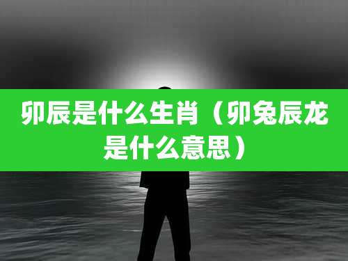 卯辰是什么生肖（卯兔辰龙是什么意思）