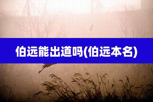 伯远能出道吗(伯远本名)