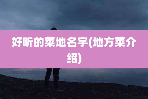 好听的菜地名字(地方菜介绍)