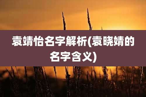 袁靖怡名字解析(袁晓婧的名字含义)