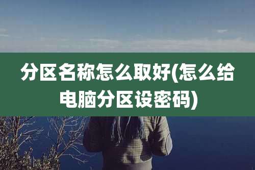 分区名称怎么取好(怎么给电脑分区设密码)