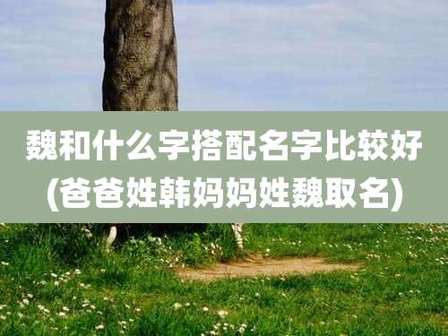 魏和什么字搭配名字比较好(爸爸姓韩妈妈姓魏取名)