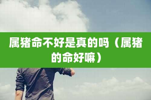 属猪命不好是真的吗(属猪的命好嘛)