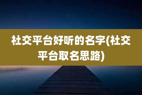 社交平台好听的名字(社交平台取名思路)
