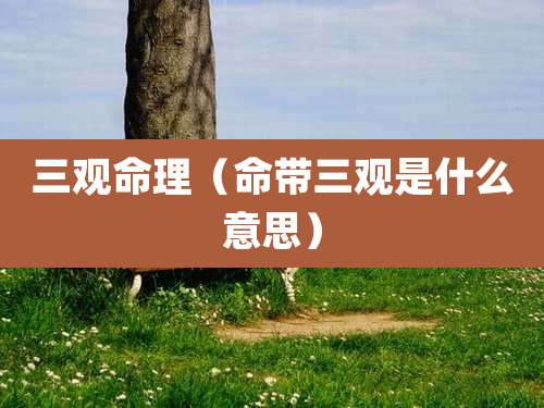 三观命理(命带三观是什么意思)