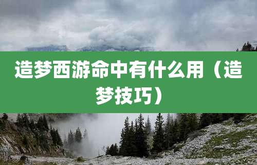 造梦西游命中有什么用（造梦技巧）
