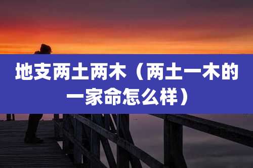 地支两土两木（两土一木的一家命怎么样）