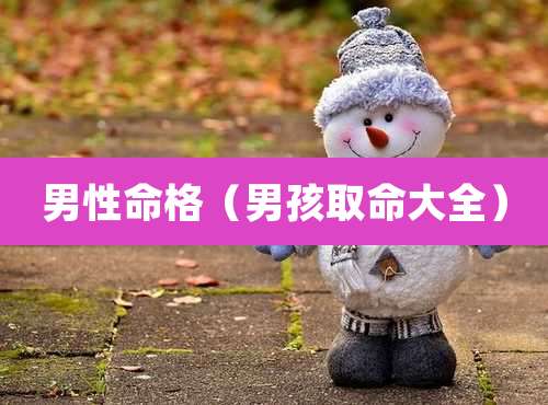 男性命格(男孩取命大全)