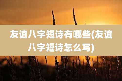 友谊八字短诗有哪些(友谊八字短诗怎么写)