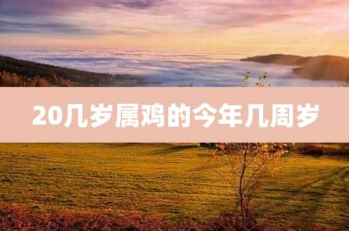 20几岁属鸡的今年几周岁