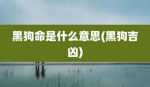 黑狗命是什么意思(黑狗吉凶)