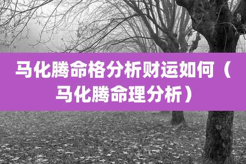马化腾命格分析财运如何（马化腾命理分析）