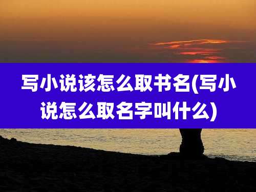 写小说该怎么取书名(写小说怎么取名字叫什么)