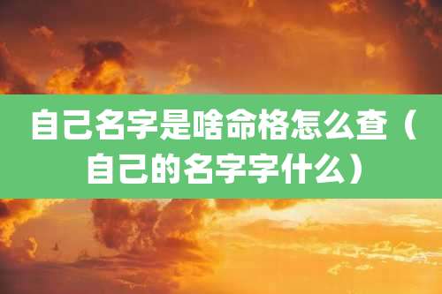 自己名字是啥命格怎么查(自己的名字字什么)