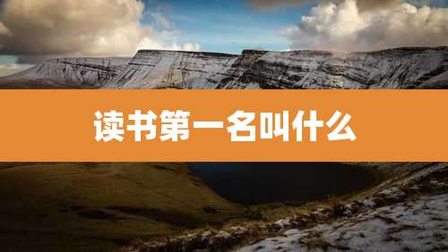 读书第一名叫什么