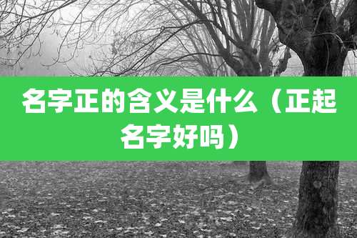 名字正的含义是什么(正起名字好吗)