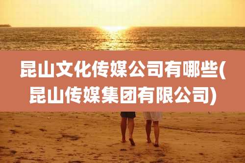 昆山文化传媒公司有哪些(昆山传媒集团有限公司)