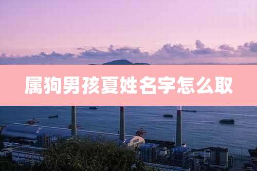 属狗男孩夏姓名字怎么取