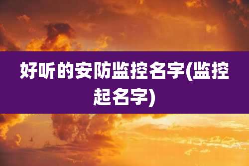 好听的安防监控名字(监控起名字)