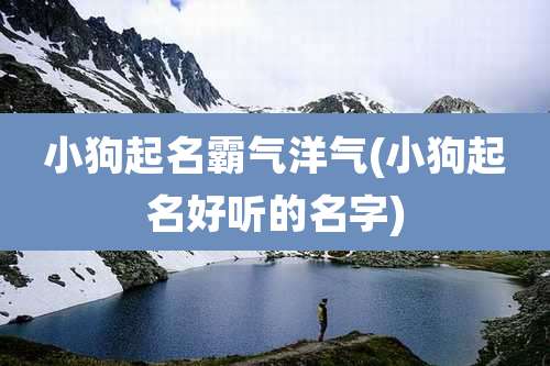 小狗起名霸气洋气(小狗起名好听的名字)