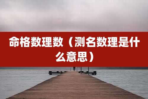 命格数理数(测名数理是什么意思)