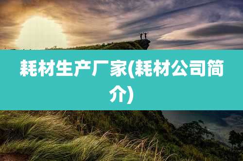 耗材生产厂家(耗材公司简介)