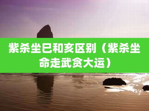 紫杀坐巳和亥区别（紫杀坐命走武贪大运）