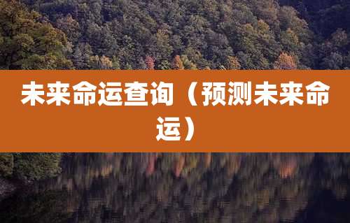 未来命运查询（预测未来命运）