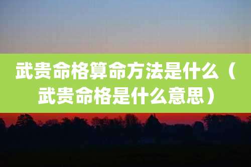 武贵命格算命方法是什么(武贵命格是什么意思)